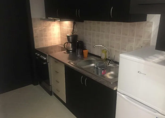 Dimis And Efis 1 Apartment Kriopigi
